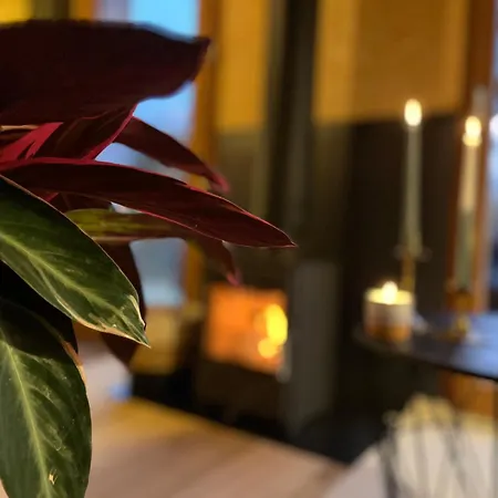 Bayda's Tiny House Chalet