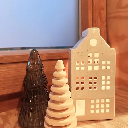 Bayda's Tiny House *