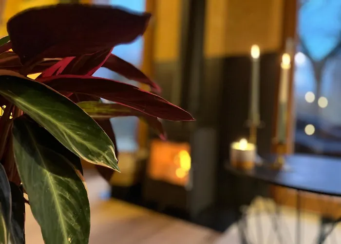 Bayda's Tiny House Chalet